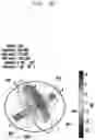 Fig. 20 - Antenna module and electronic device including the same