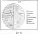 Fig. 31 - DEVICES AND METHODS FOR NEGATIVE PRESSURE THERAPY