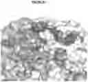 Fig. 06 - POLYOMAVIRUS NEUTRALIZING ANTIBODIES