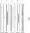 Fig. 02 - Method for establishing complex motion controller