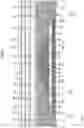 Fig. 07 - Display device