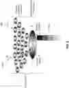 Fig. 09 - BIOCHEMICAL ENERGY CONVERSION CELL
