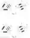 Fig. 02 - Multi-operating-voltage motor