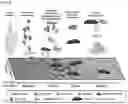 Fig. 06 - TREATMENT OF ANASTOMOSES