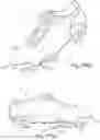 Fig. 06 - Foamed articles and methods of making the same
