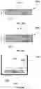 Fig. 22 - Foamed articles and methods of making the same