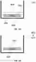 Fig. 24 - Foamed articles and methods of making the same