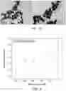 Fig. 10 - DEVICES AND METHODS FOR DETECTION OF SEVERE ACUTE RESPIRATORY SYNDROME CORONAVIRUS 2