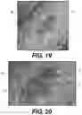 Fig. 15 - Exclusion device covers and related methods