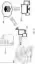 Fig. 28 - DEVICES AND METHODS FOR PREDICTING, IDENTIFYING AND/OR MANAGING PNEUMONIA OR OTHER HEALTH STATUS