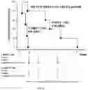 Fig. 07 - DEVICES AND METHODS FOR TREATING CANCER AND CARDIAC WASTING