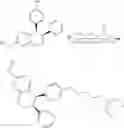 Fig. 299 - Cereblon ligands and bifunctional compounds comprising the same