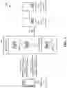 Fig. 02 - Mitigating RF chain conflict between radio access technologies in wireless communication