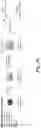 Fig. 05 - COMPOSITIONS OF ALUM NANOPARTICLES FOR IMMUNOMODULATION AND METHODS FOR PRODUCING THE SAME