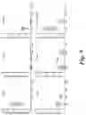 Fig. 08 - COMPOSITIONS OF ALUM NANOPARTICLES FOR IMMUNOMODULATION AND METHODS FOR PRODUCING THE SAME