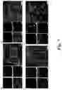 Fig. 10 - COMPOSITIONS OF ALUM NANOPARTICLES FOR IMMUNOMODULATION AND METHODS FOR PRODUCING THE SAME