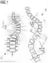 Fig. 02 - METHOD AND DEVICE FOR AUTOMATICALLY DETERMINING SPINE DEFORMATION FROM AN IMAGE