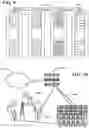 Fig. 06 - Detection and Treatment of Obstructive Sleep Apnea