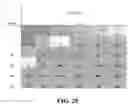 Fig. 22 - Detection and Treatment of Obstructive Sleep Apnea