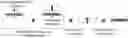 Fig. 01 - Method For Constructing Gene Mutation Library