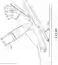 Fig. 11 - SYSTEMS AND METHODS FOR HEAD UP CARDIOPULMONARY RESUSCITATION