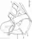 Fig. 22 - SYSTEMS AND METHODS FOR HEAD UP CARDIOPULMONARY RESUSCITATION