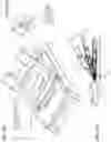 Fig. 35 - SYSTEMS AND METHODS FOR HEAD UP CARDIOPULMONARY RESUSCITATION