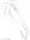Fig. 03 - TELESCOPING/WEIGHING FORK COMBINATION