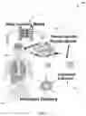 Fig. 03 - APTAMERIC PEPTIDE LIBRARY FORMATION USING GENERATIVE ADVERSARIAL NETWORK (GAN) MACHINE LEARNING MODELS