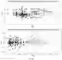 Fig. 09 - APTAMERIC PEPTIDE LIBRARY FORMATION USING GENERATIVE ADVERSARIAL NETWORK (GAN) MACHINE LEARNING MODELS