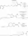 Fig. 192 - Novel heteroaromatic amide derivative and medicament containing the same