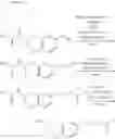 Fig. 205 - Novel heteroaromatic amide derivative and medicament containing the same