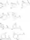 Fig. 55 - Novel heteroaromatic amide derivative and medicament containing the same