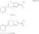 Fig. 706 - Novel heteroaromatic amide derivative and medicament containing the same