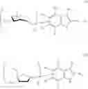 Fig. 09 - Glycosylated psilocybin derivatives and methods of using