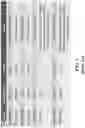 Fig. 04 - Block list management for wordline start voltage