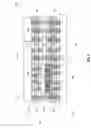 Fig. 04 - MICROELECTRONIC ASSEMBLIES WITH THROUGH DIE ATTACH FILM CONNECTIONS