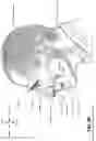Fig. 06 - HEADGEAR WITH TENSION LIMIT DETECTION FEATURE