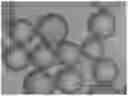 Fig. 01 - METHOD OF PREPARING POLYMER-FILLED CHROMATOGRAPHY RESIN