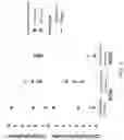 Fig. 04 - BCMA-DIRECTED CHIMERIC ANTIGEN RECEPTOR T CELL COMPOSITIONS AND METHODS AND USES THEREOF