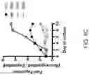 Fig. 12 - BCMA-DIRECTED CHIMERIC ANTIGEN RECEPTOR T CELL COMPOSITIONS AND METHODS AND USES THEREOF