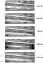 Fig. 06 - Method for characterising an object by means of ultrasonic waves having different modes, using a composite image