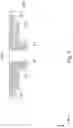 Fig. 09 - CONTACT LENS AND MANUFACTURING METHOD THEREOF