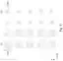 Fig. 13 - CONTACT LENS AND MANUFACTURING METHOD THEREOF