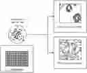Fig. 01 - MULTIOMIC ANALYSIS DEVICE AND METHODS OF USE THEREOF
