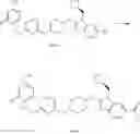 Fig. 1007 - GPCR RECEPTOR AGONISTS, PHARMACEUTICAL COMPOSITIONS COMPRISING THE SAME, AND METHODS FOR THEIR USE