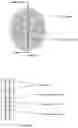 Fig. 02 - Double-layer electrode for electro-optic liquid crystal lens