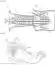 Fig. 02 - Gas turbine combustor with fuel nozzles shaped with a diameter decreasing and increasing toward a rear side thereof