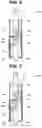 Fig. 04 - CONTACT PROBE, INSPECTION APPARATUS, AND INSPECTION METHOD