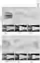 Fig. 06 - 3D IMAGE ANALYSIS PLATFORM FOR NEUROLOGICAL CONDITIONS